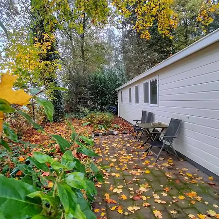 Amazing In With Kitchen * Vorden