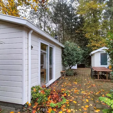 Amazing In With Kitchen Holiday home Vorden